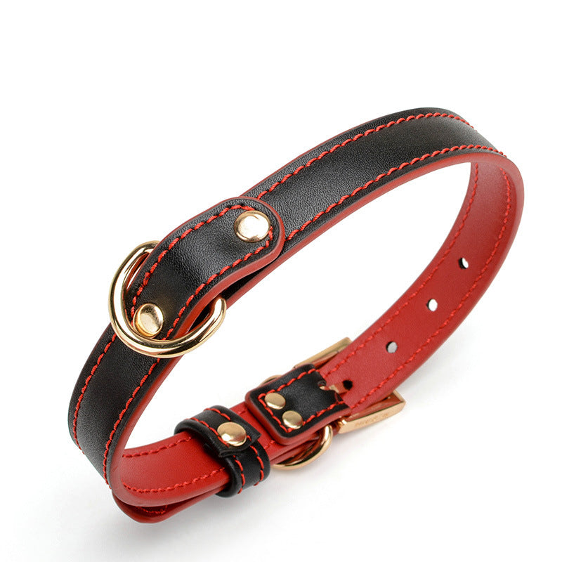 Desire Leather Choker with Gold Chain
