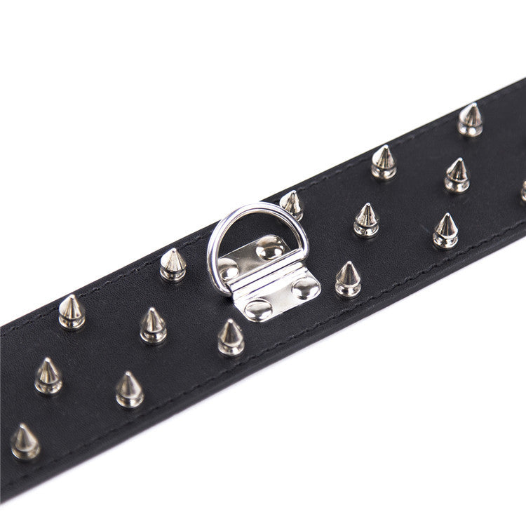 Dominion Spiked Collar with Lock & Leash