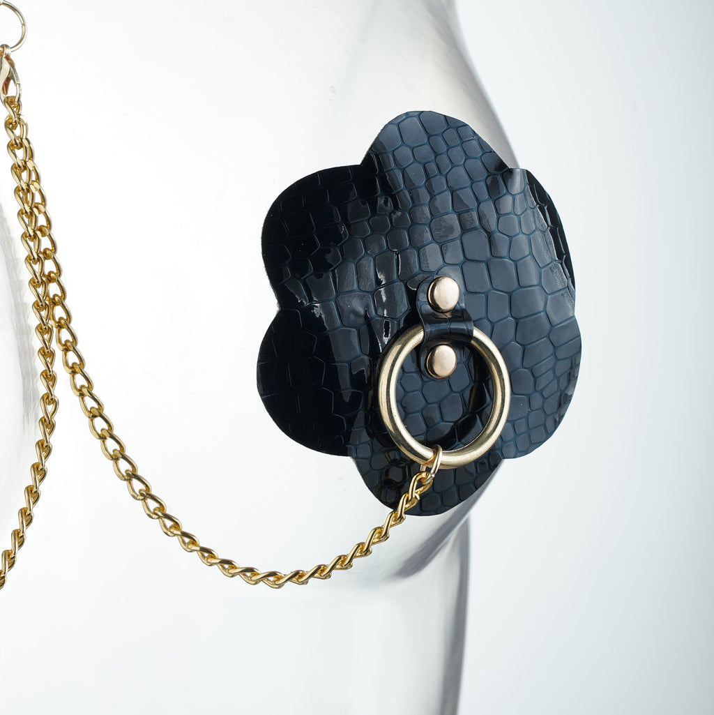 Gilded Allure Nipple Pasties & Gold Chain Collar