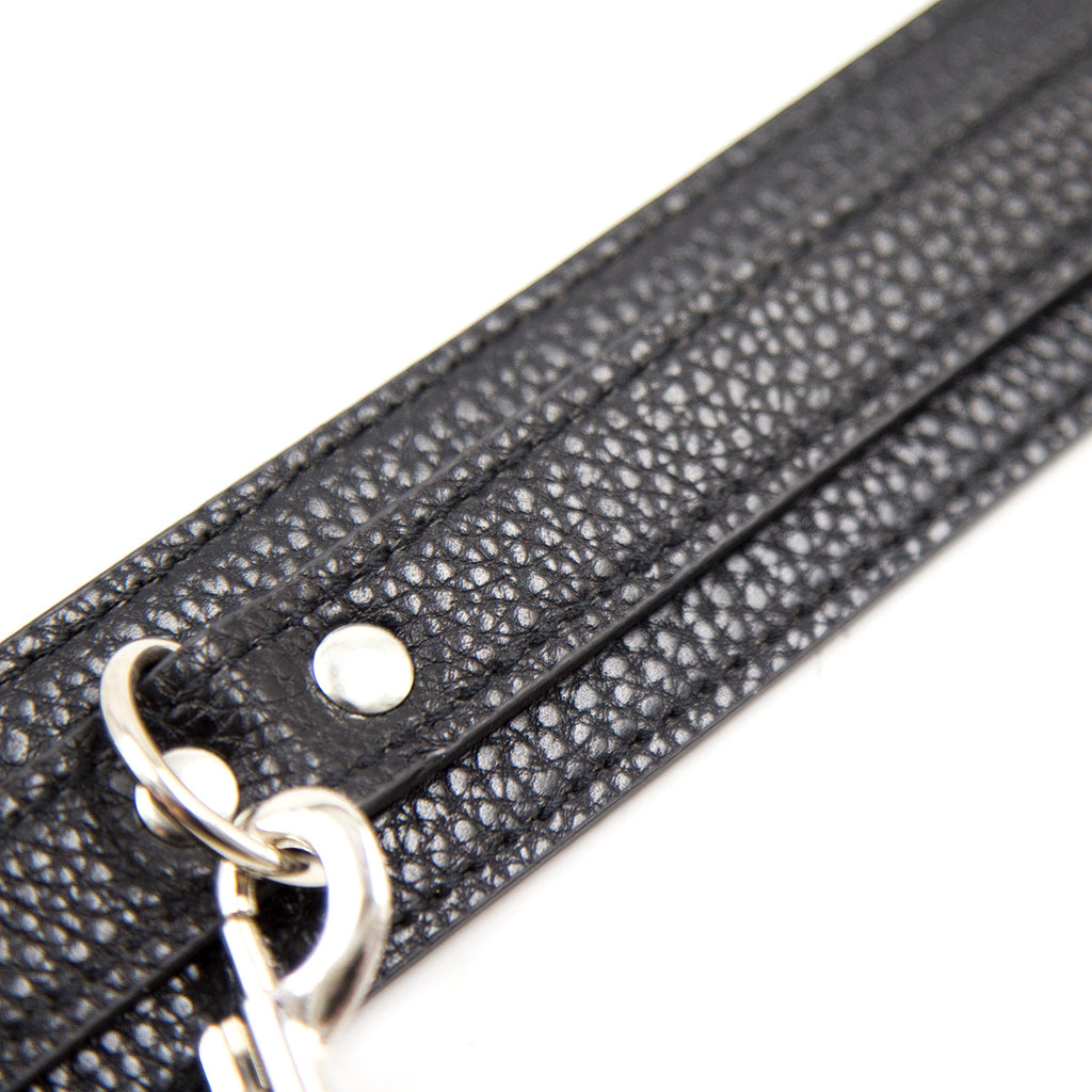 Luxurious Leather Adjustable Collar with Chain Leash close up 