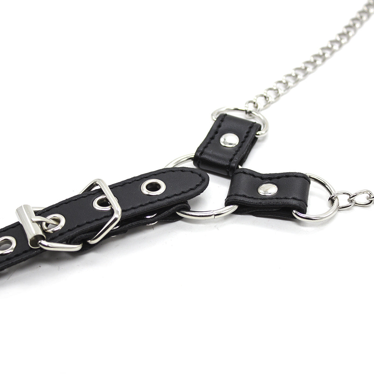 Silver Chain Nipple Clamps with Leather Extension