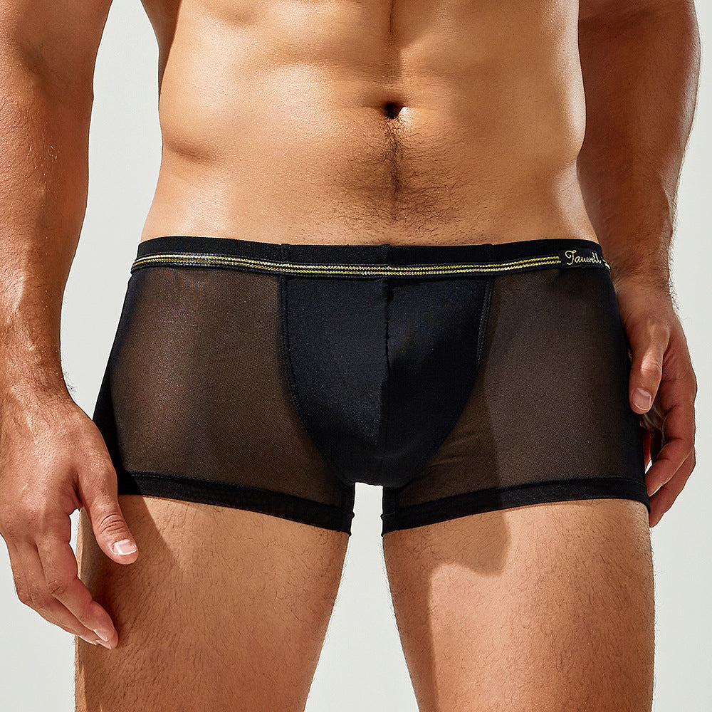 Tauwell sheer contour trunks in midnight black, front view, with transparent nylon mesh body and solid contoured pouch