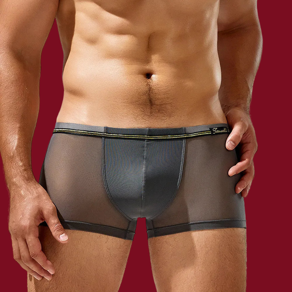 Tauwell sheer contour trunks in smoke grey, front view, with transparent nylon mesh body and solid contoured pouch