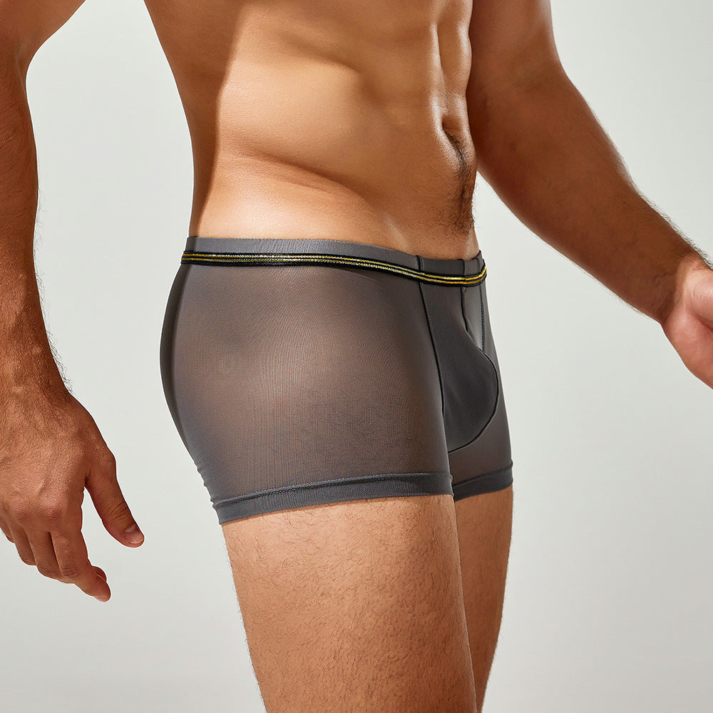 Tauwell sheer grey contour trunks, side-angled view, showing transparent mesh construction and short-leg fit