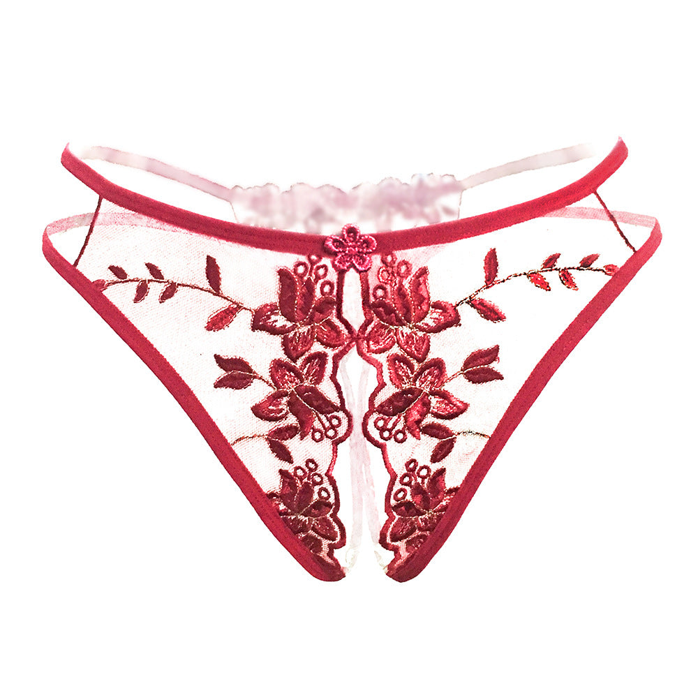 Sheer embroidered mesh panty with floral detailing in red.