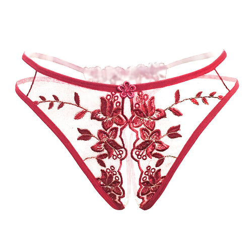 Sheer embroidered mesh panty with floral detailing in red.