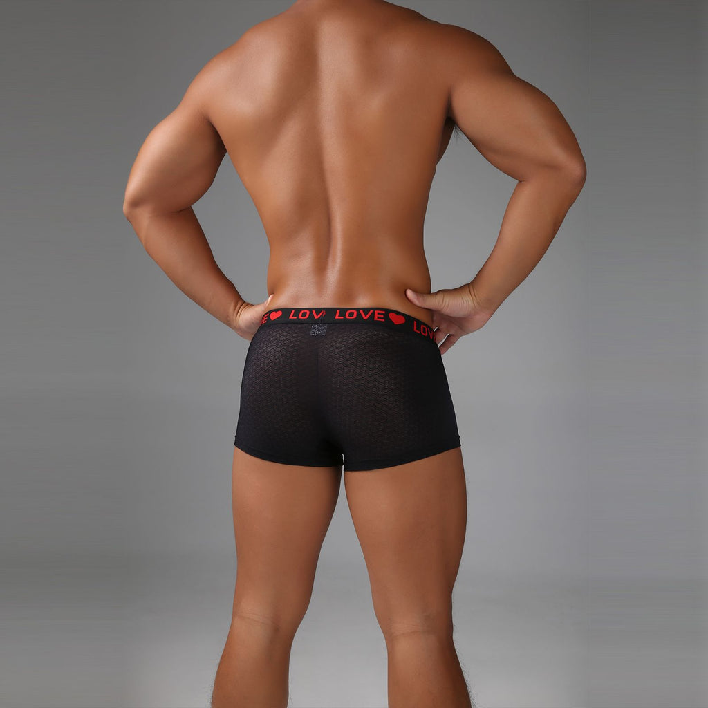 Back view of men’s sheer mesh boxer with short-leg silhouette.