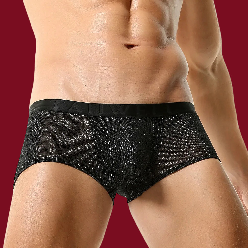A slightly angled, seated front view of the sheer glimmer boxer. This perspective emphasizes the structured TAUWELL pouch and the way the light catches the metallic threads across the thighs.
