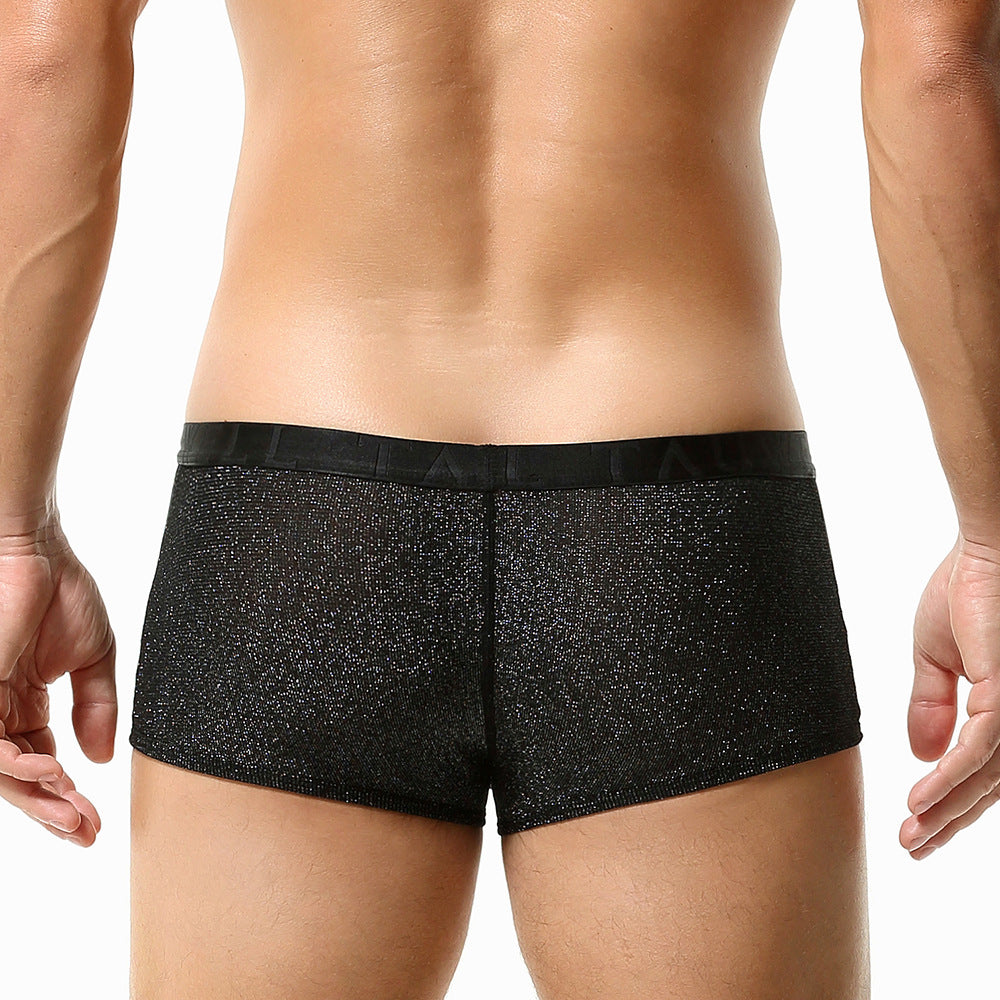 A rear view of the Glimmer boxer against the burgundy background. The shot showcases the seamless, second-skin fit of the sheer mesh and the uniform distribution of the metallic spark.