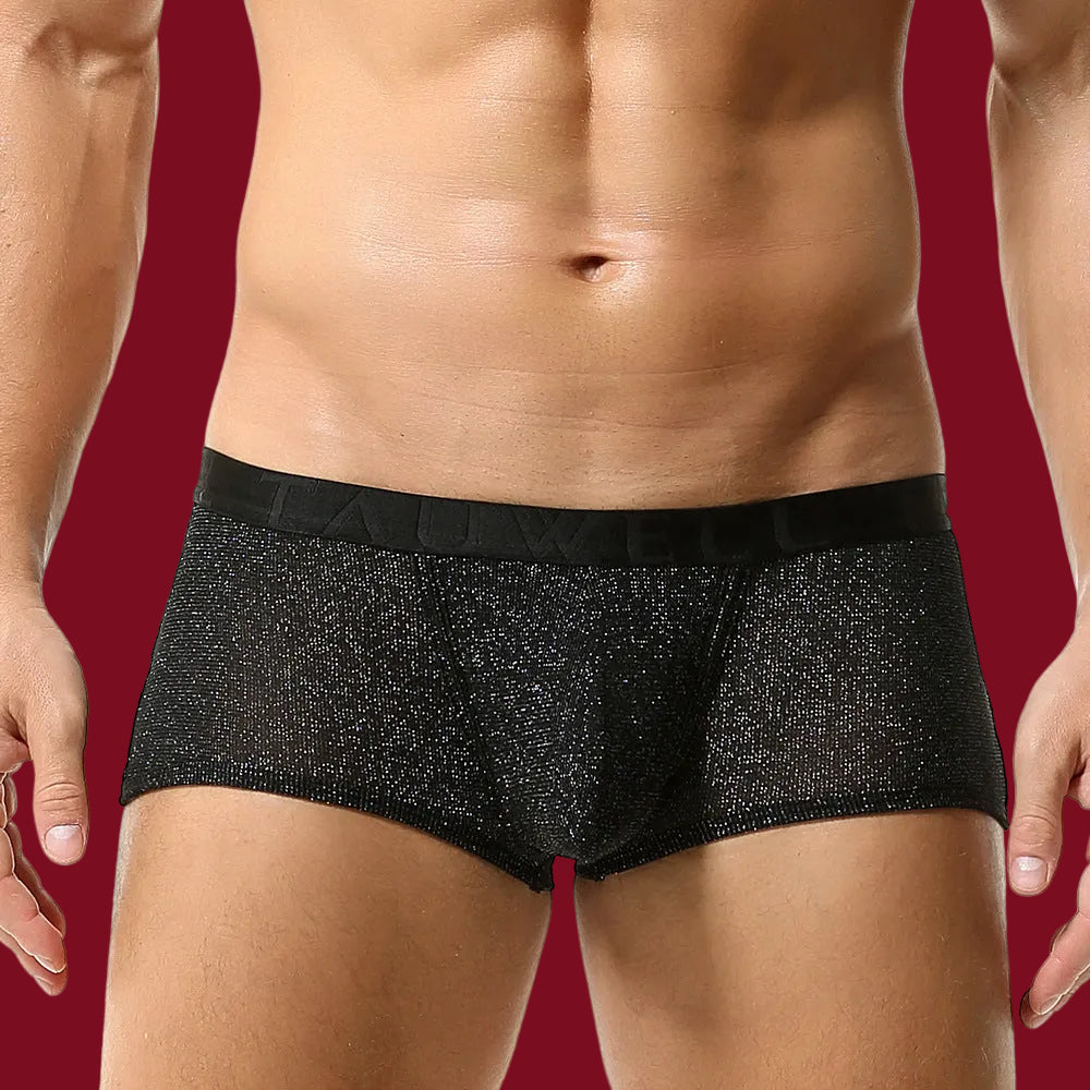 A front-facing view of the Glimmer boxer against a deep burgundy background. The seated pose creates natural folds in the sheer obsidian mesh, highlighting the dark metallic shimmer.