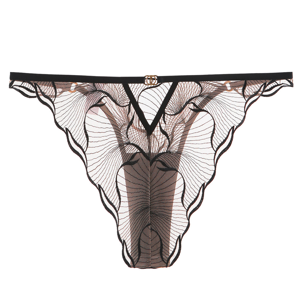 Rear view of the Velour Tide panty highlighting the sheer back coverage and seamless leg openings.
