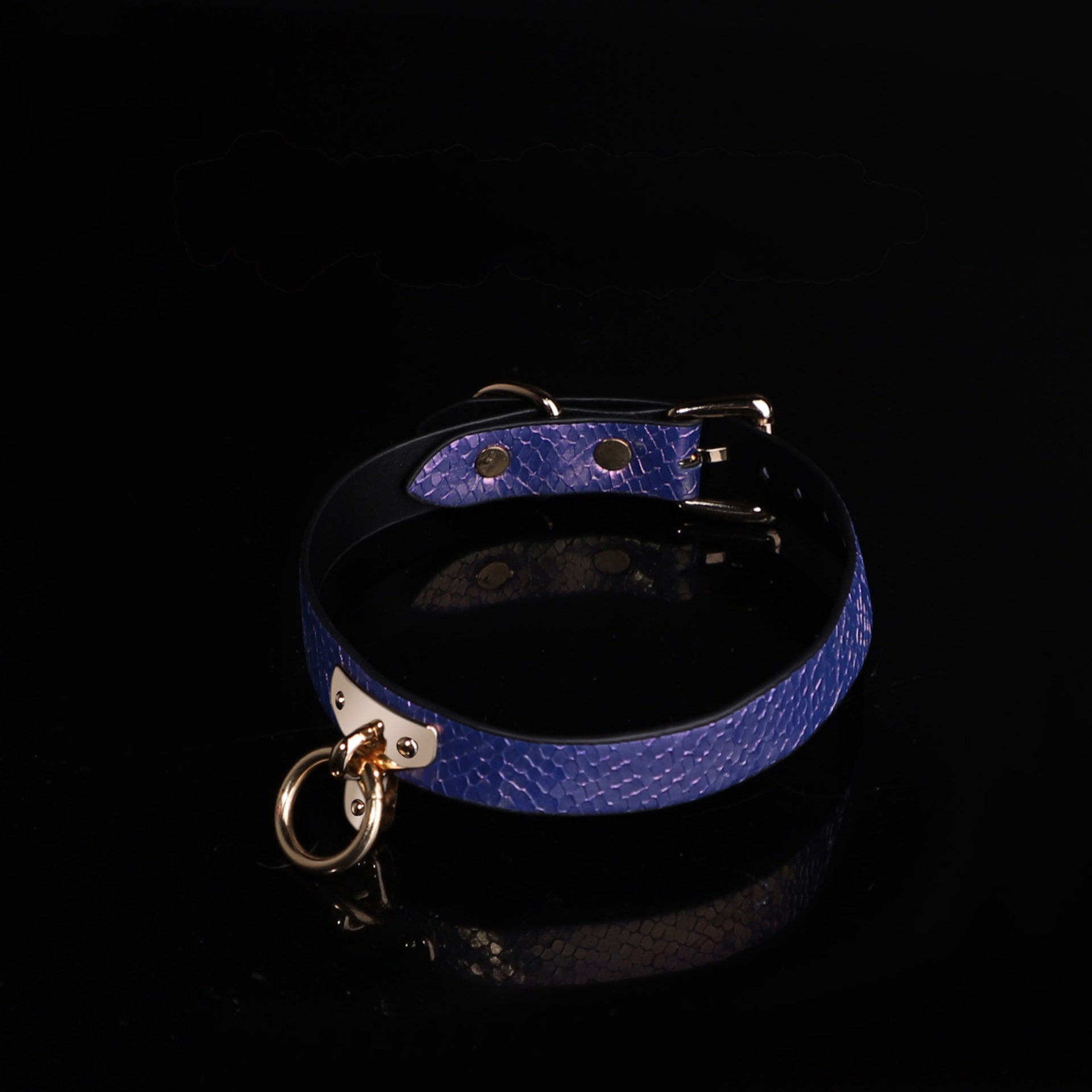 Top view of iridescent vegan leather collar with gold-tone hardware.